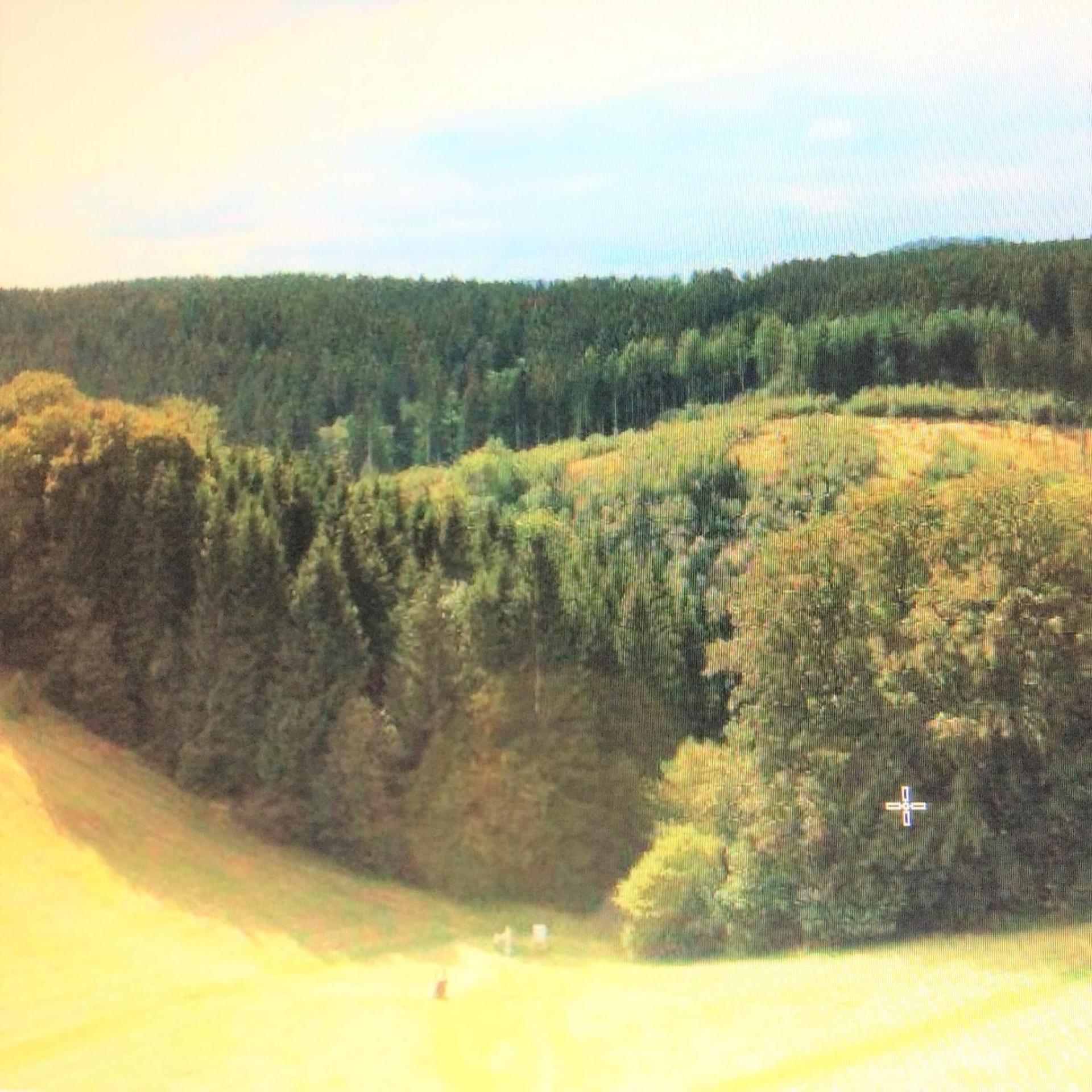 Ferienwohnung Panoramicharz App459 Braunlage Ngoại thất bức ảnh